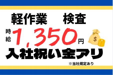 検査のお仕事