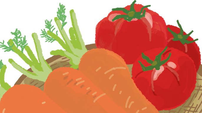 食品加工工場でのトマトやニンジンの選別・洗浄・検査業務