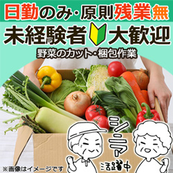 野菜のカット・梱包作業